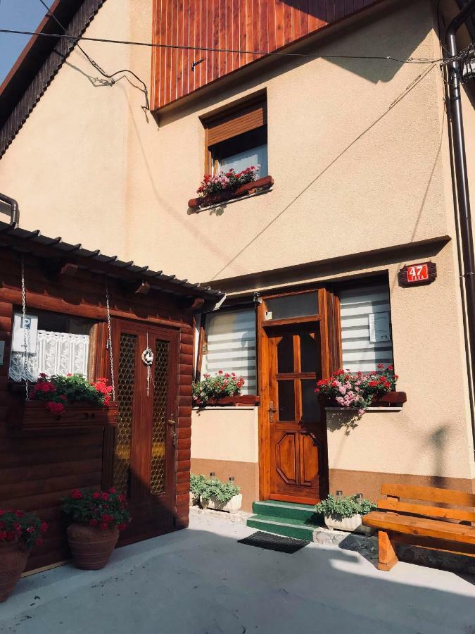 Apartma Evi Zaga Εξωτερικό φωτογραφία